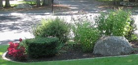 Want to put a Boulder in Your Yard?