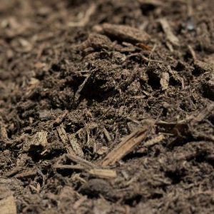 Hemlock Mix Mulch