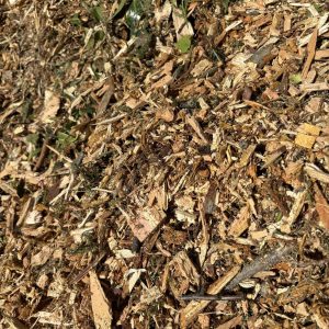 Wood Chips