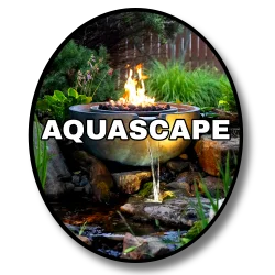 Water Features