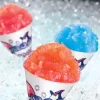 Sno Cone Machine Rental