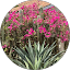 linda wentzell Avatar